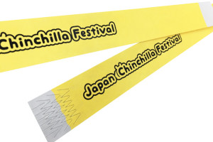 japan chinchilla festival